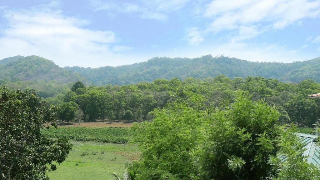 Hill Green Home Stay טקאדי מראה חיצוני תמונה
